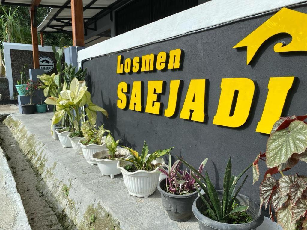 Krui Saejadi Surf And Stay Luaran gambar